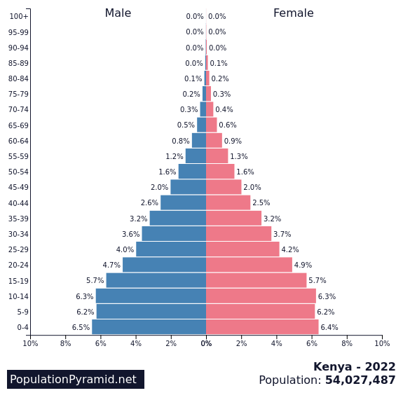 Kenya’s Real Crisis Isn’t Debt or Corruption – It’s Demographic Time Bomb