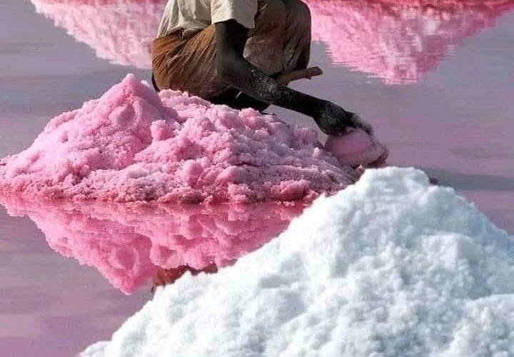 The Pink Lake of Senegal: A Journey into Lake Retba’s Vibrant Beauty and Hidden Struggles