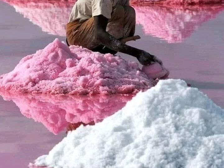 The Pink Lake of Senegal: A Journey into Lake Retba’s Vibrant Beauty and Hidden Struggles