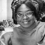 The Evolution of the African Female Protagonist in Contemporary Literature