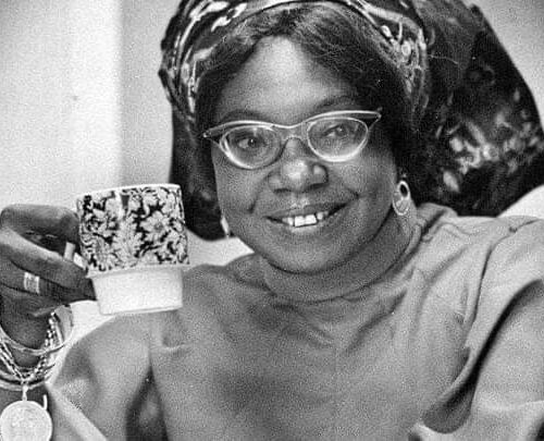 The Evolution of the African Female Protagonist in Contemporary Literature