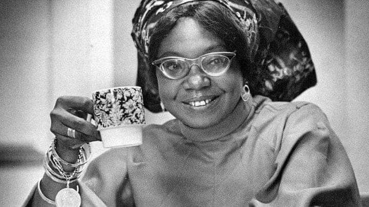 The Evolution of the African Female Protagonist in Contemporary Literature